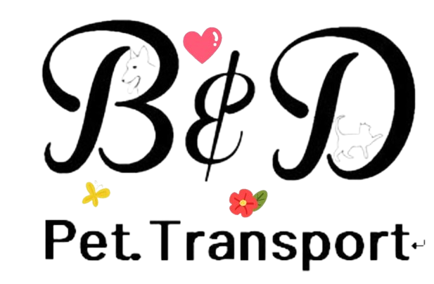 BD Pet Transport